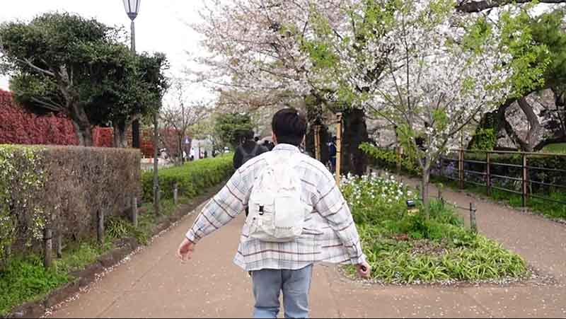 Chidorigafuchi Park