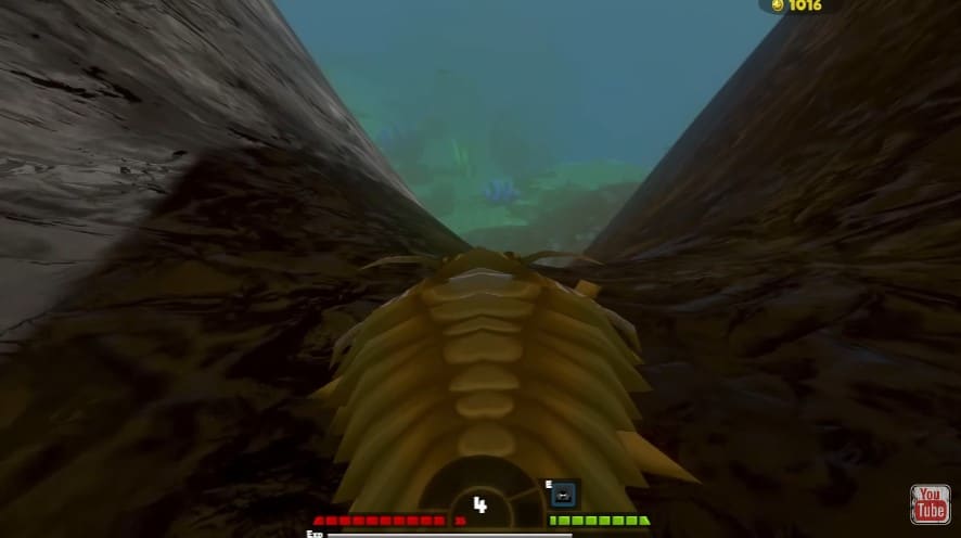 Fish Feed and Grow