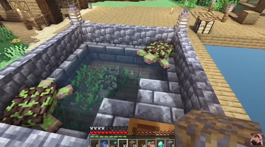 Minecraft