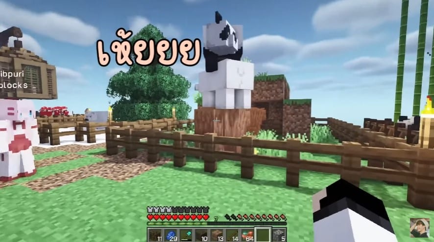 Minecraft