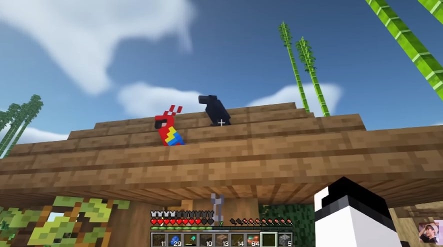 Minecraft