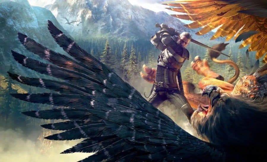 The Witcher