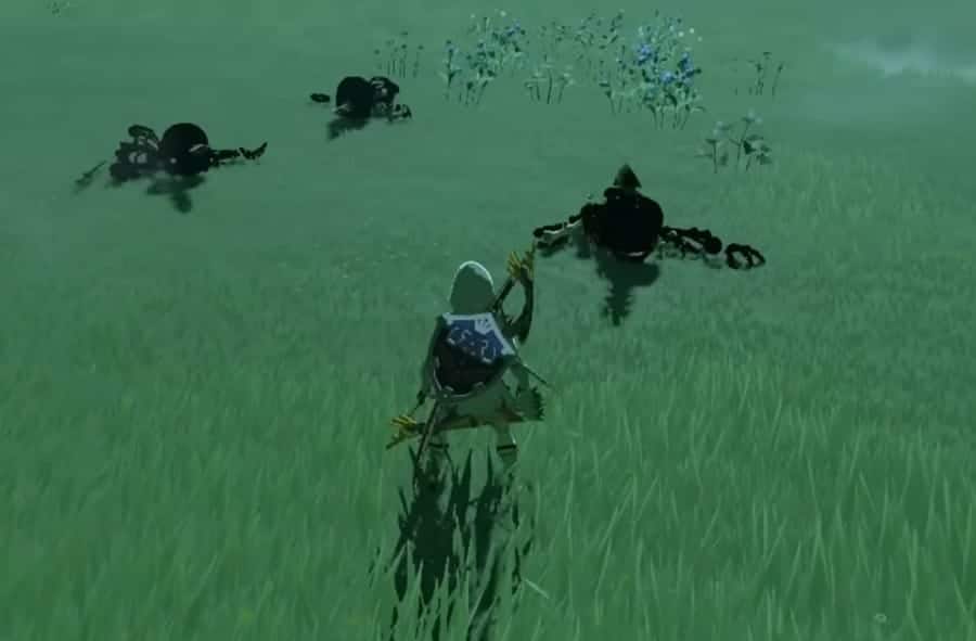 The Legend of Zelda: Tears of the Kingdom