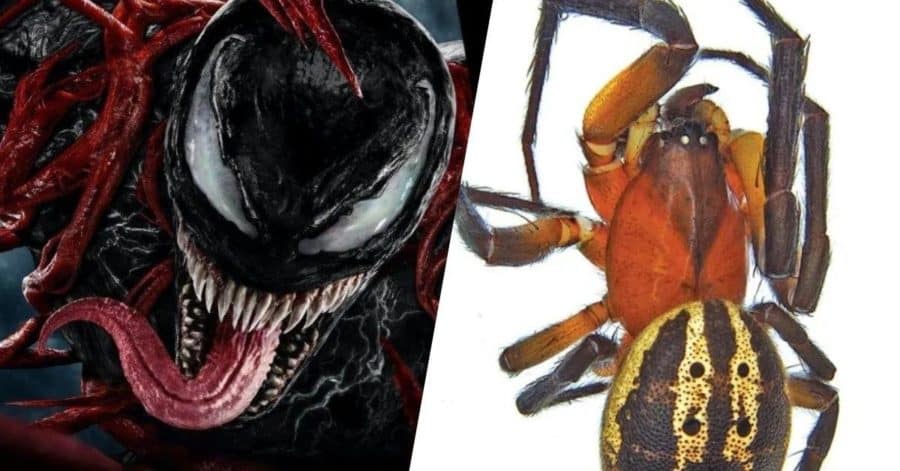 Venom