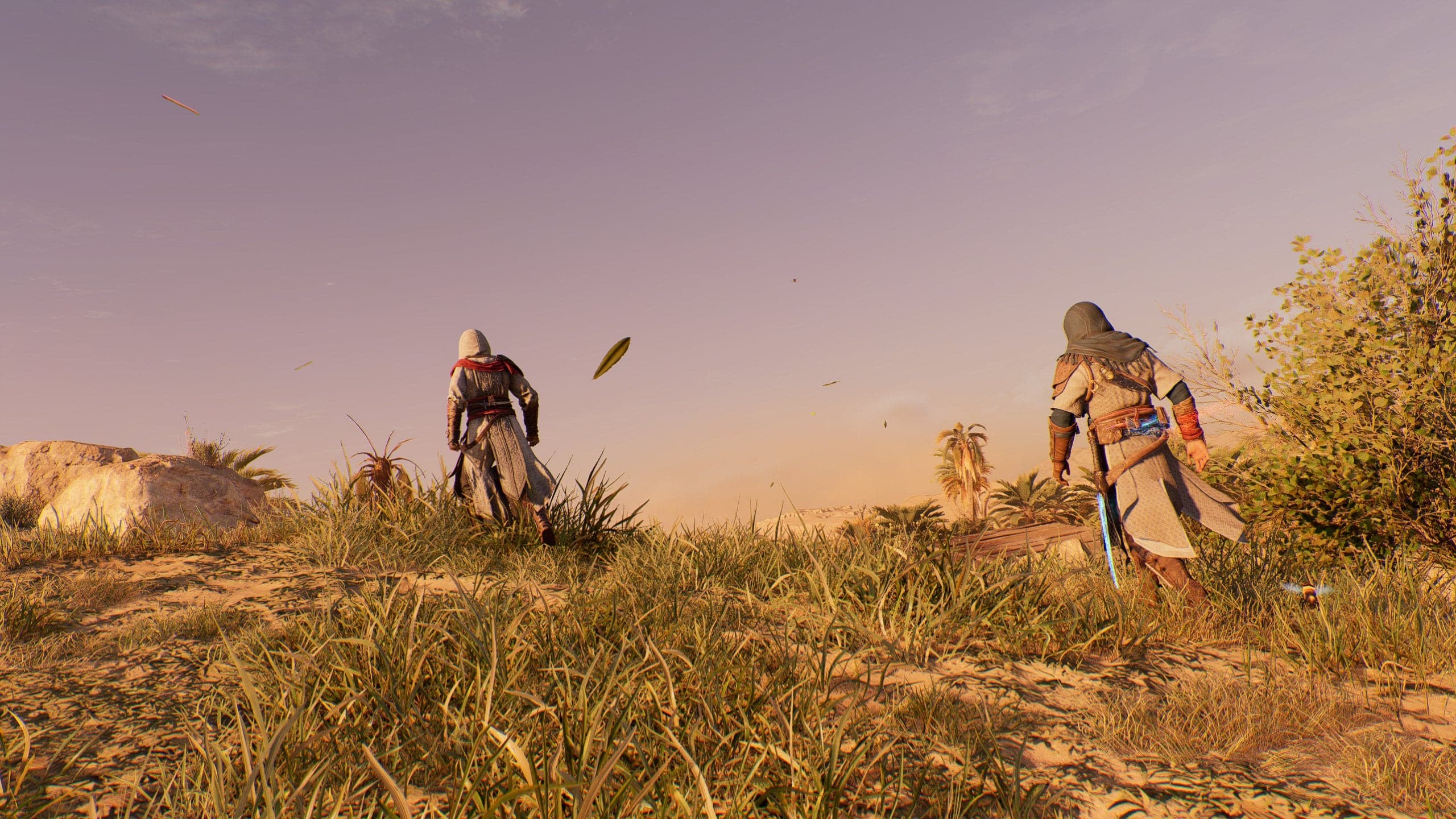 Assassin's Creed