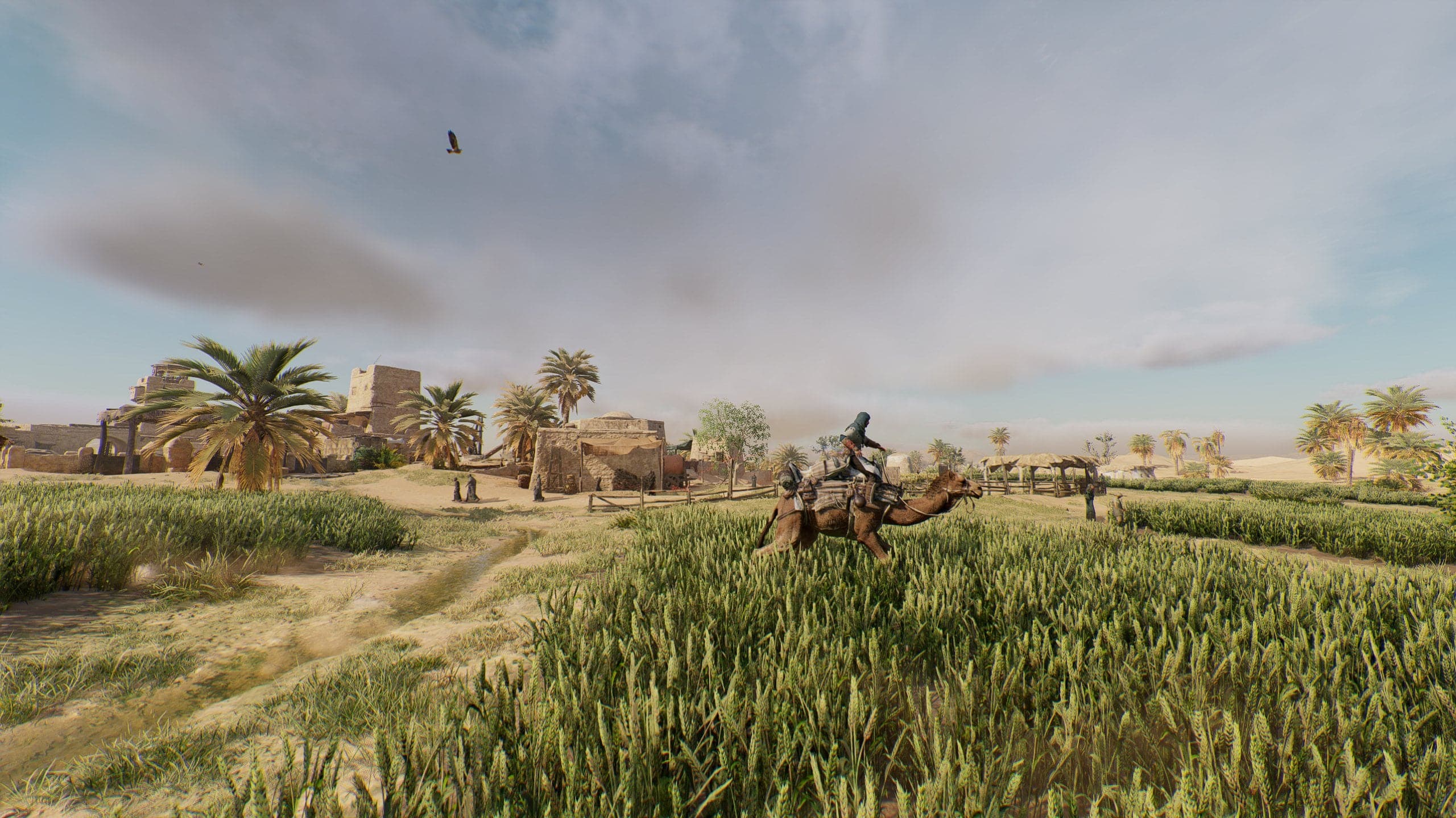 Assassin's Creed