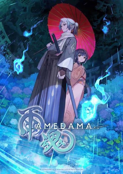AMEDAMA