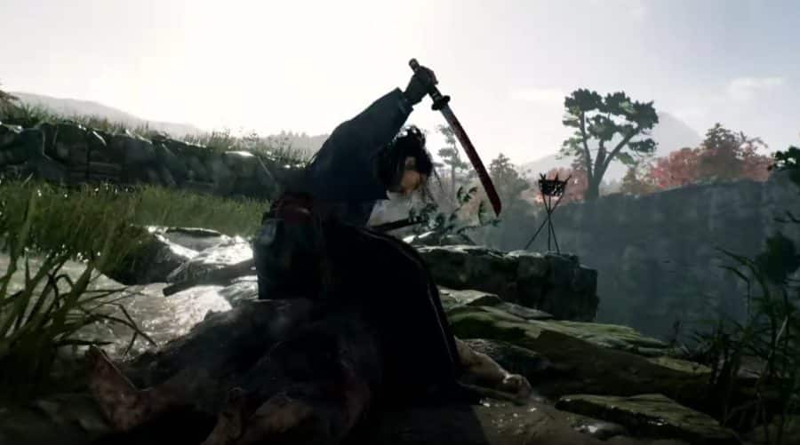 Rise of the Ronin