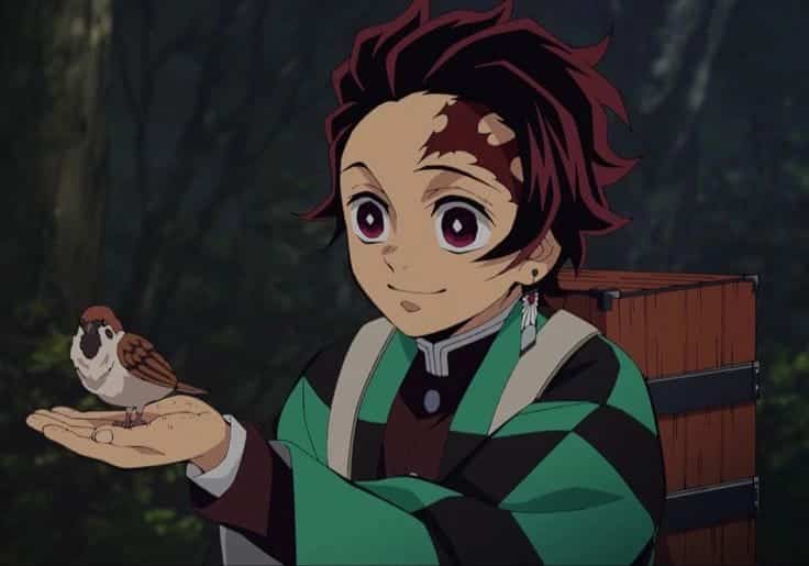 anime protagonist