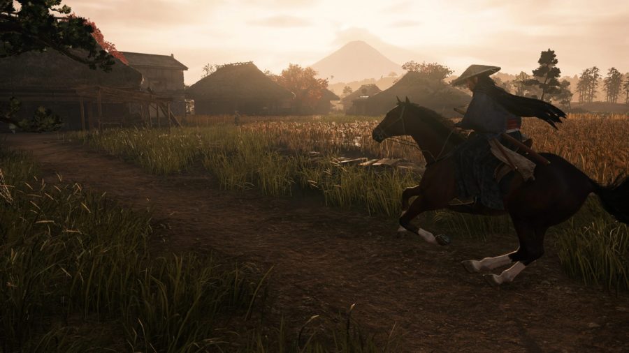 Rise of the Ronin