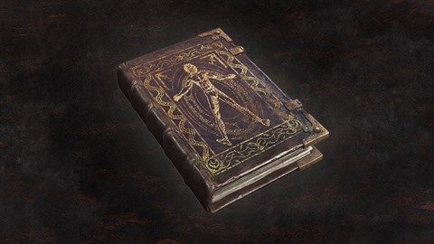 dragon's dogma 2