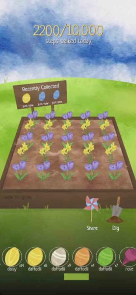 Garden Walk