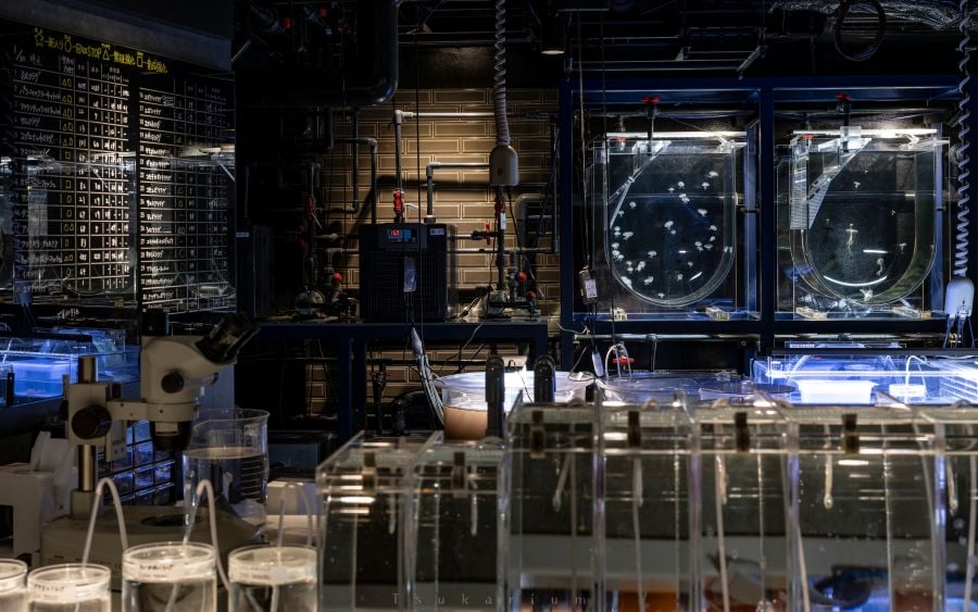 resident evil kyoto aquarium