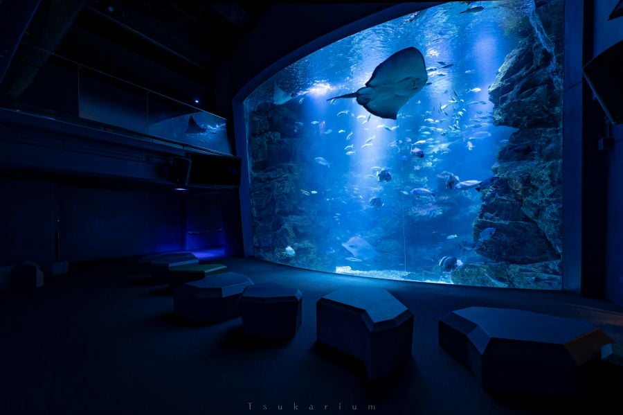 resident evil kyoto aquarium