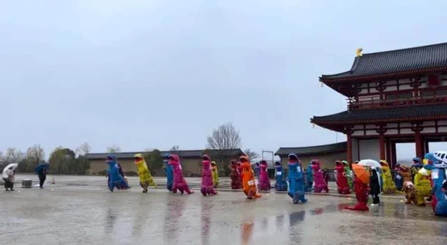 t-rex race nara