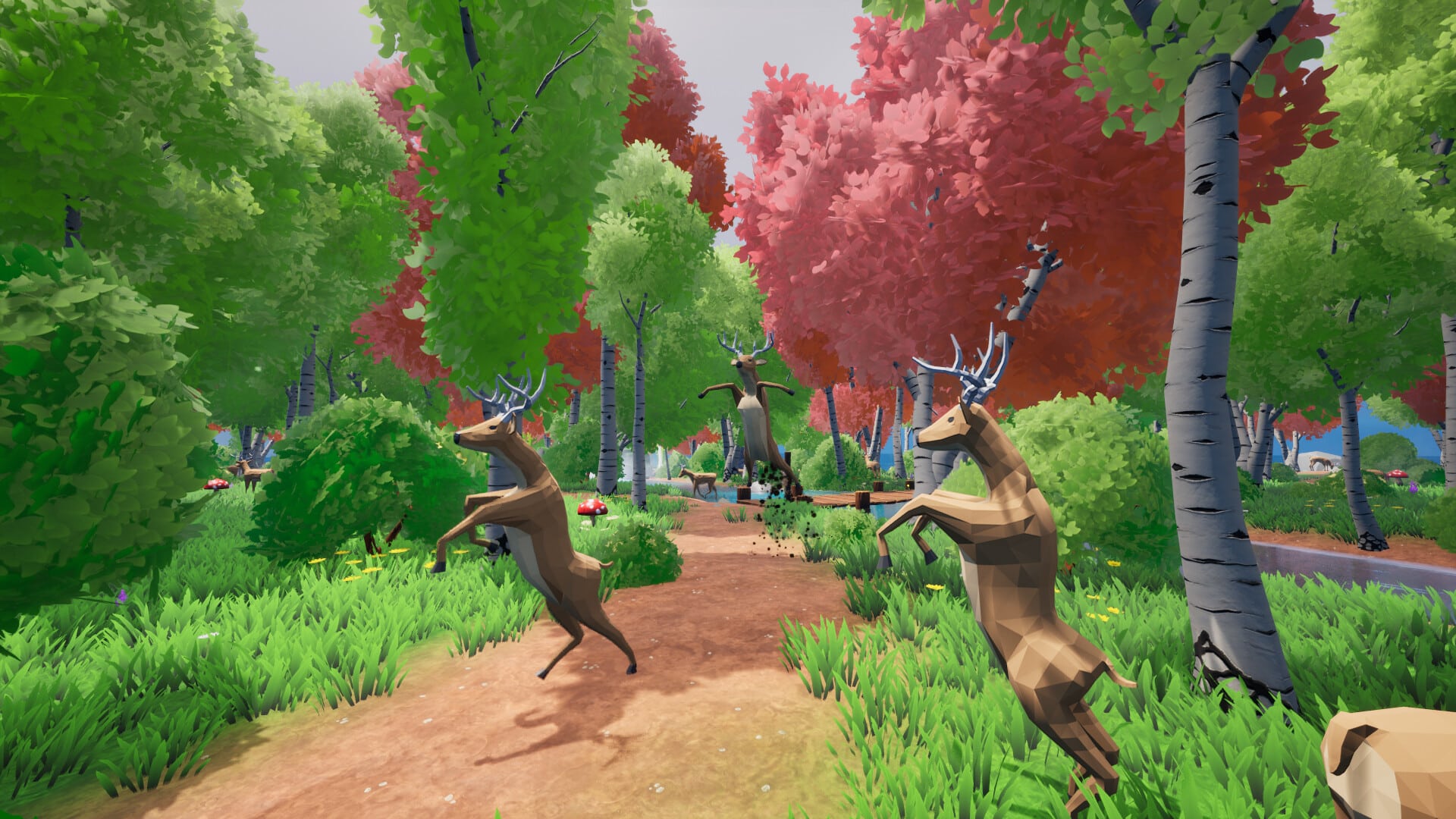 เกมซ่อนแอบ Hide and Seek