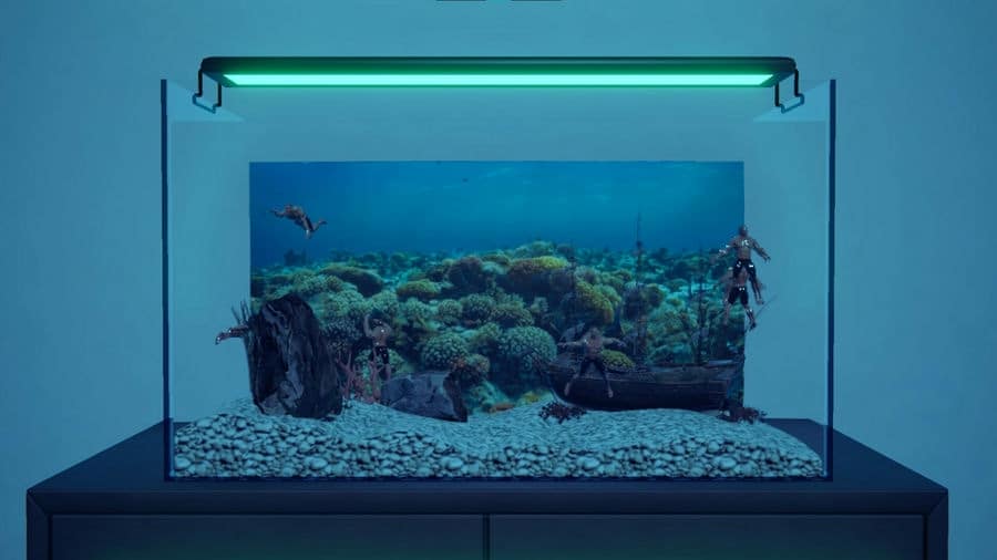 machoquarium