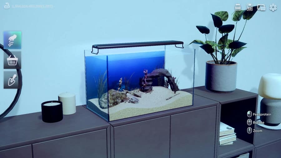 machoquarium