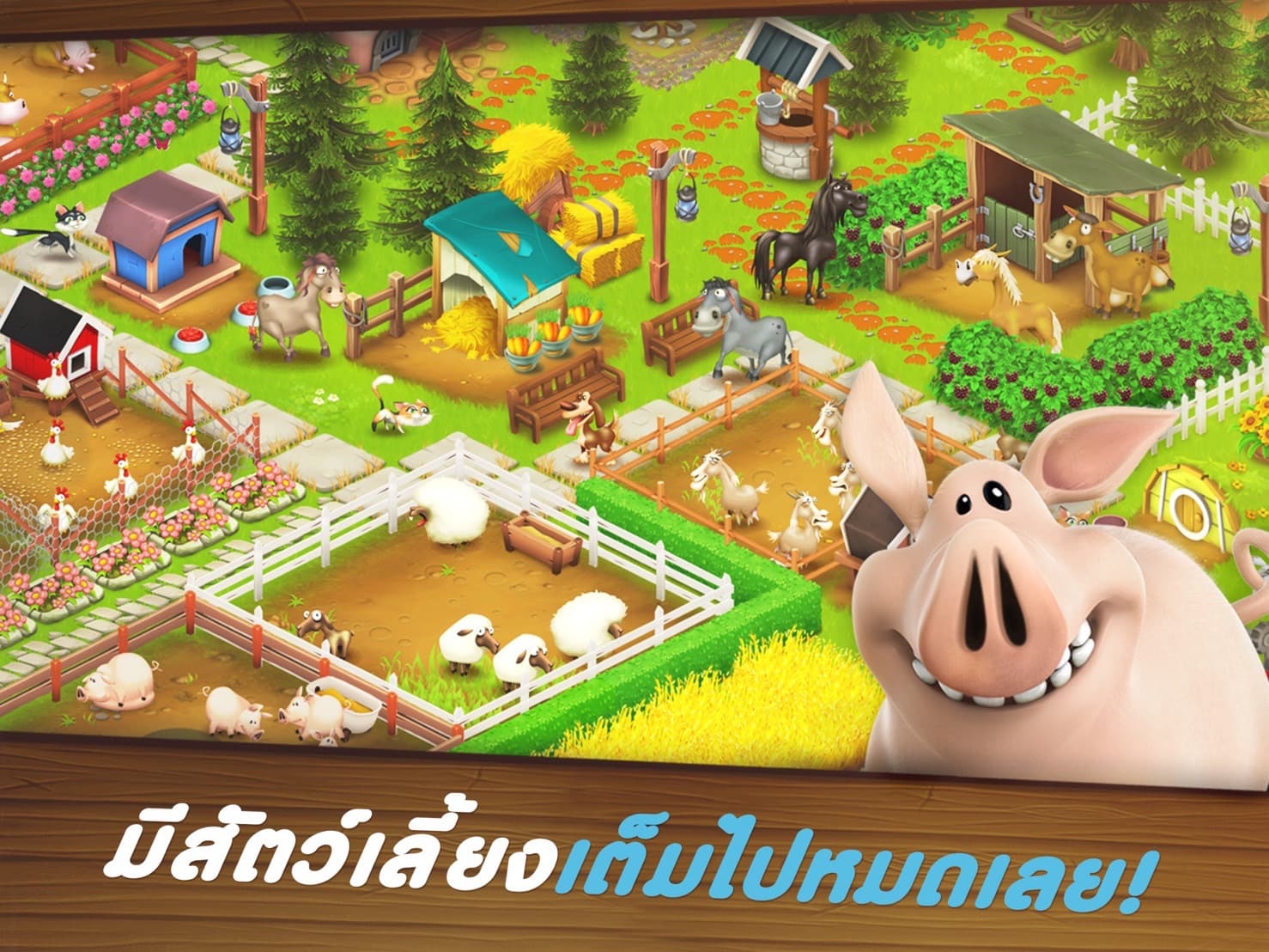 เกมปลูกผัก