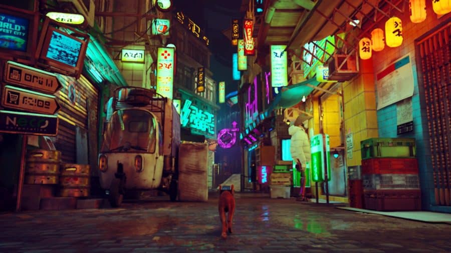 STRAY