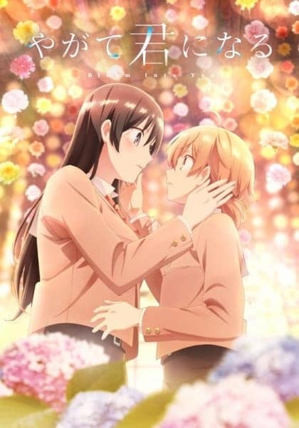 anime