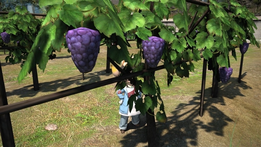 Final Fantasy 14