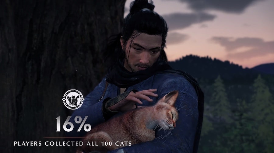 Rise of the Ronin