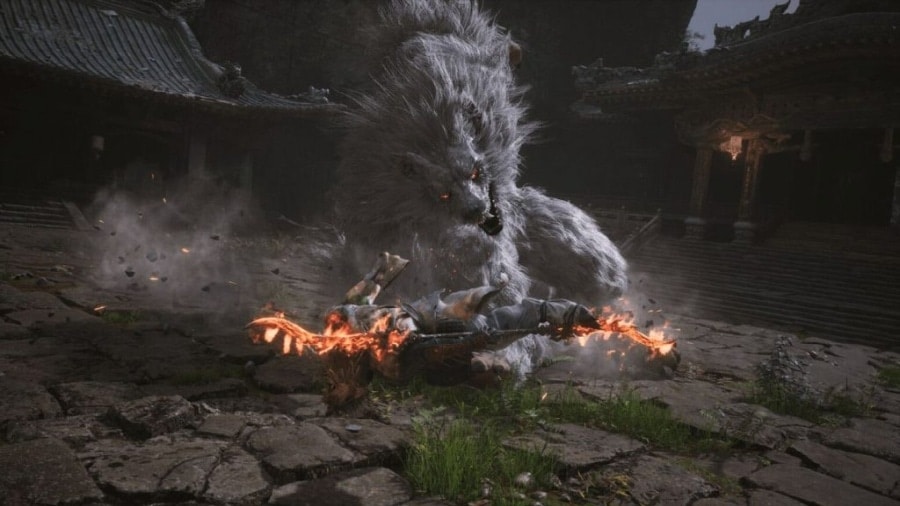 Black myth wukong