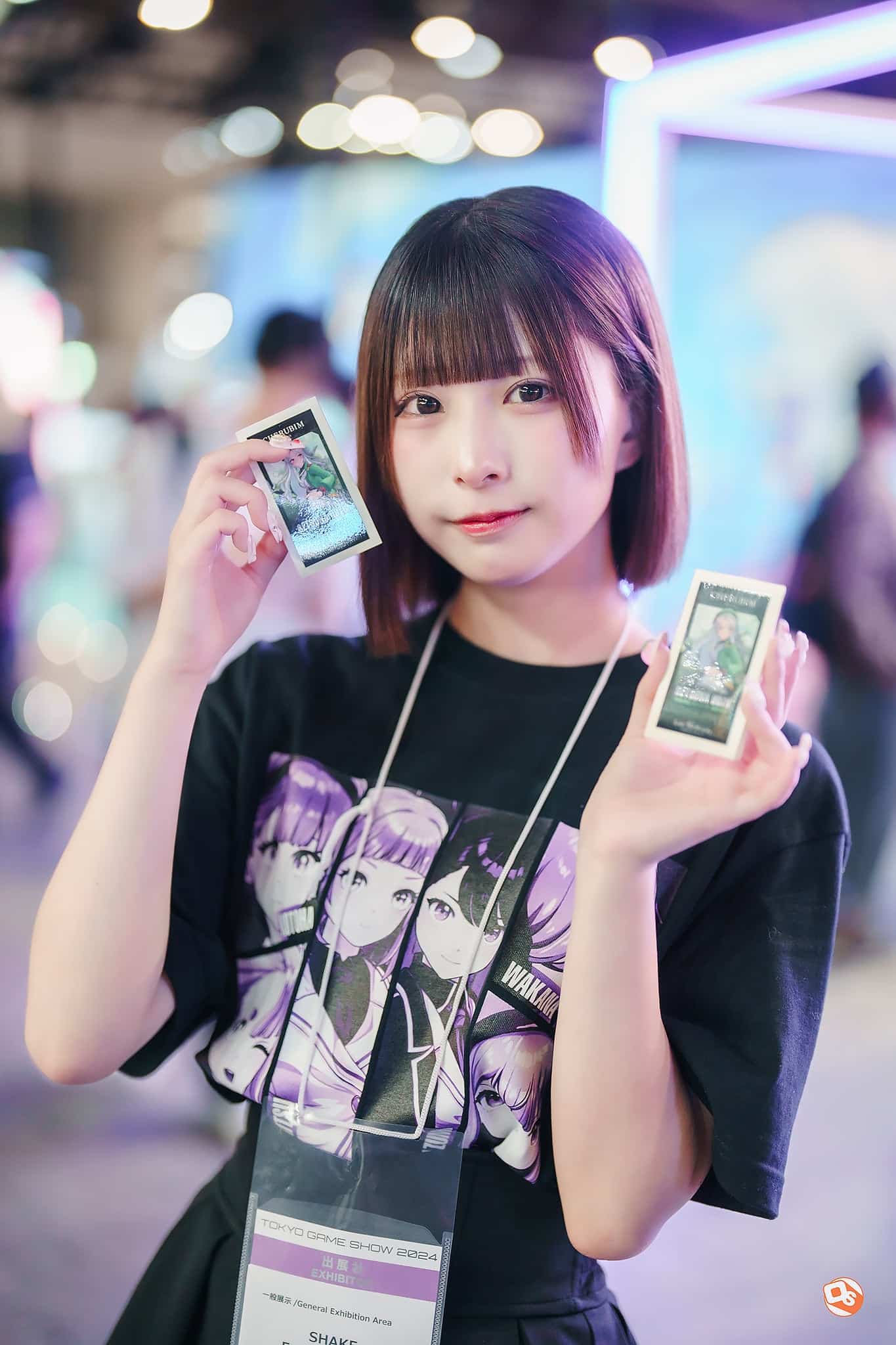 Tokyo Game Show 2024