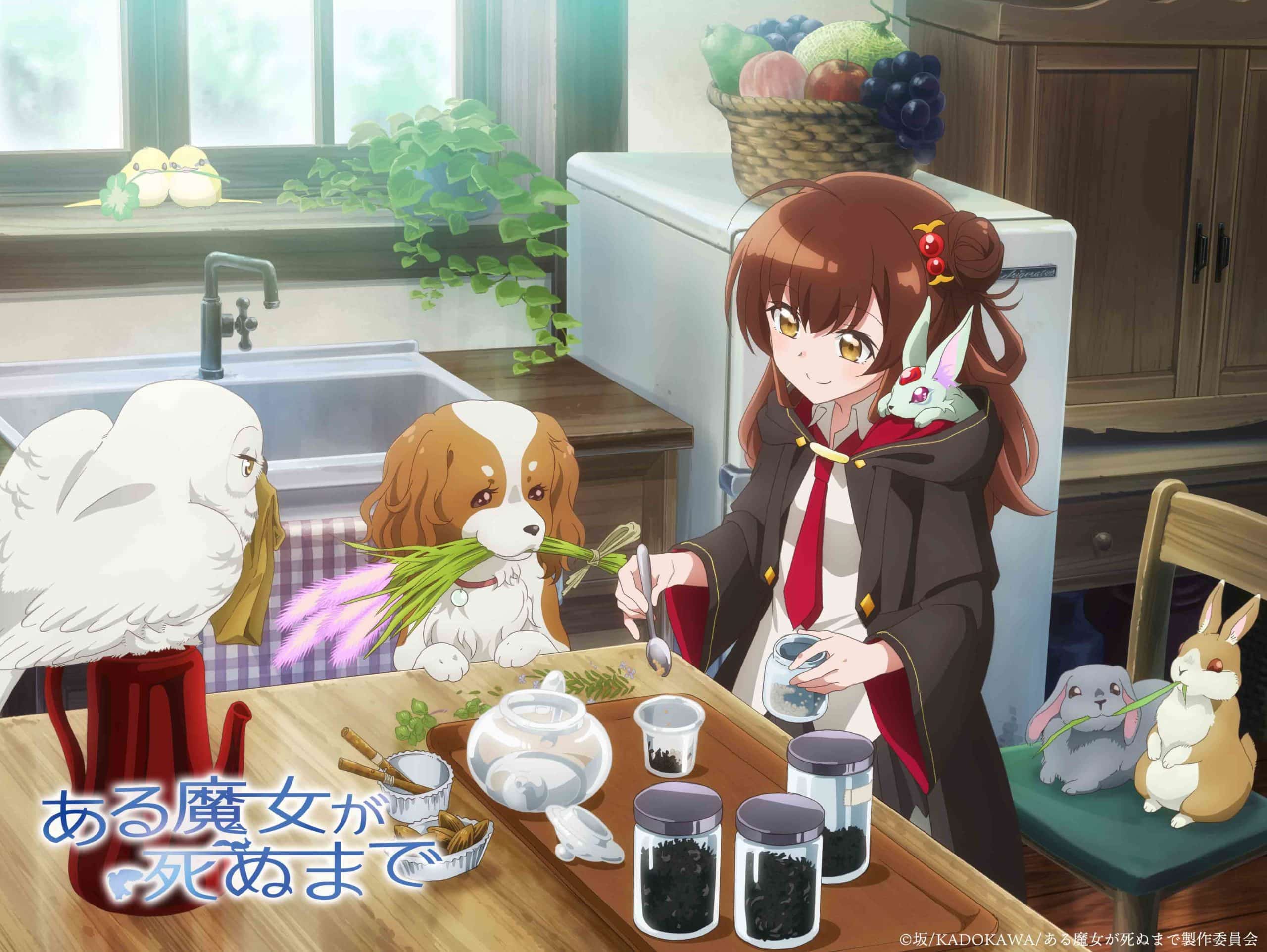 Once Upon a Witch's Death Aru Majo ga Shinu Made อนิเมะ