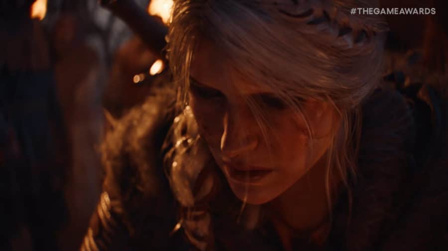 The Witcher IV