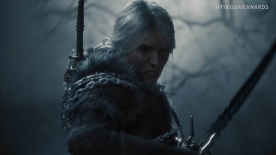 The Witcher IV