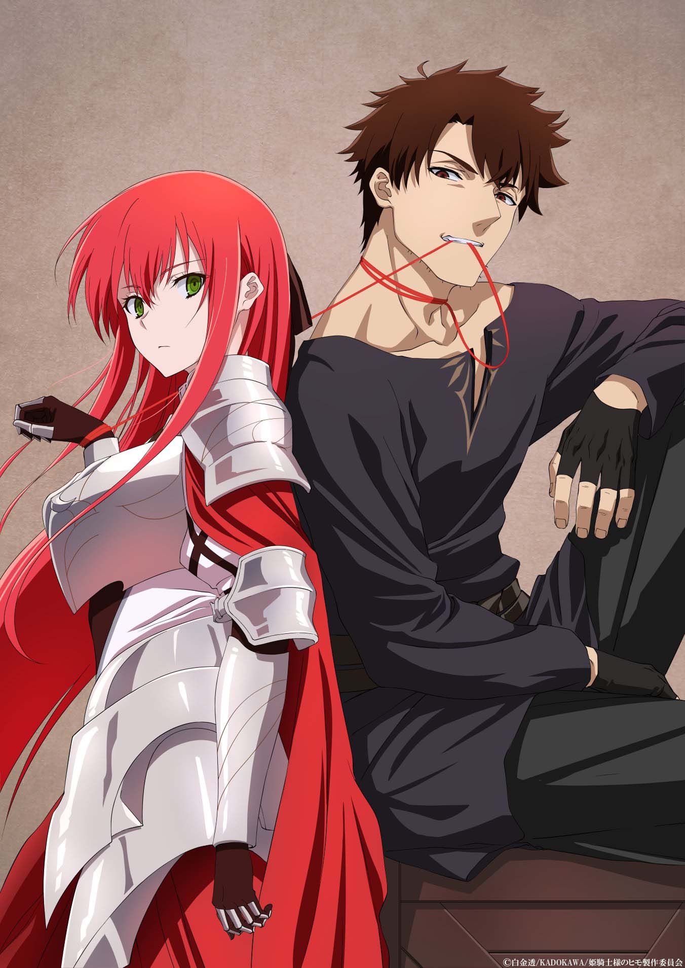 อัศวินหญิงผู้กล้ากับแมงดาไม่เอาอ่าว Himekishi sama no Himo อนิเมะ