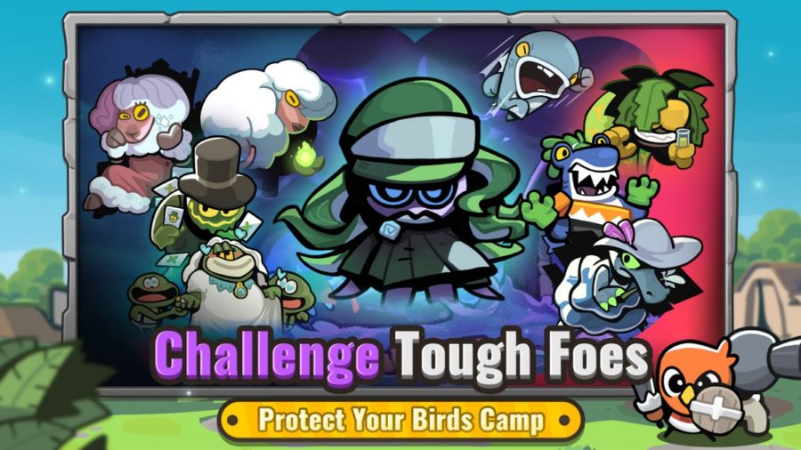 Birds Camp