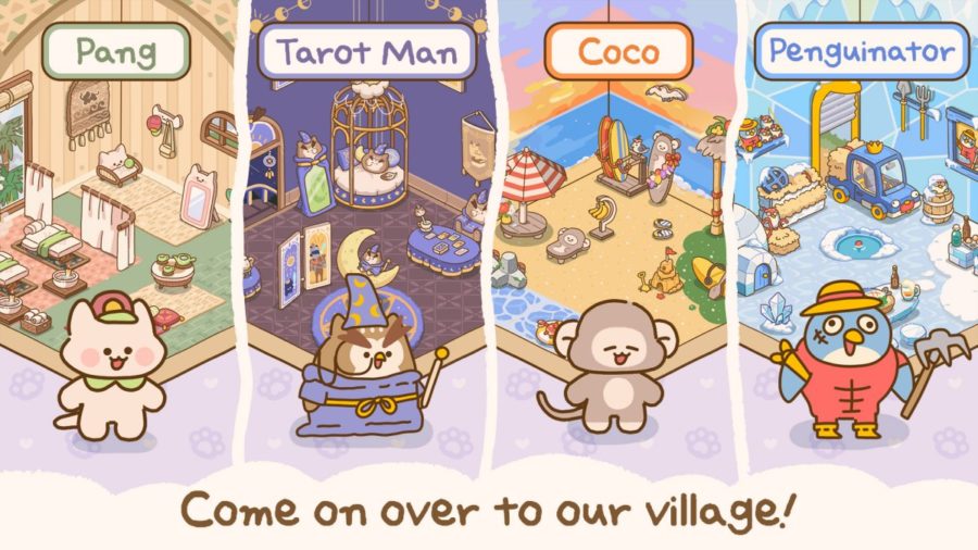 Kitty’s Kitchen Diary